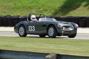 Dan Powell's Austin-Healey 3000