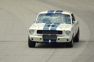 Dean DeSantis' Ford Mustang