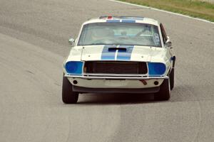 Chris Stillwell's Ford Mustang GT/CS