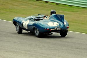 Chris MacAllister's Jaguar D-Type