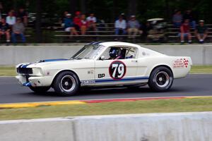 Steve Hughes' Ford Shelby GT350