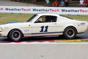 Matt Euson's Ford Shelby GT350