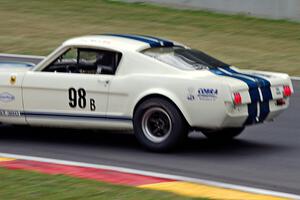 Gary Moore's Ford Shelby GT350