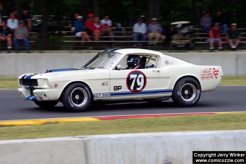 Steve Hughes' Ford Shelby GT350