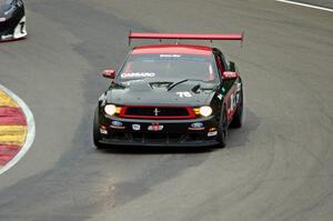 Chuck Cassaro's Ford Mustang