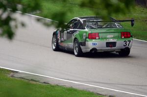 Rich Jones' Ford Mustang