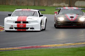 Tony Ave's Ford Mustang and Cindi Lux's Dodge Viper