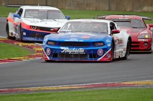 Lawrence Loshak's Ford Mustang, Steve Streimer's Dodge Viper and Shane Lewis' Chevy Camaro