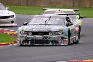 Vaughn Gittin, Jr.'s Ford Mustang and Joe Stevens' Dodge Challenger