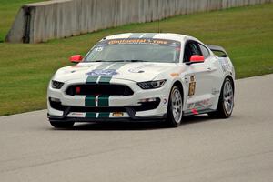 Scott Maxwell / Billy Johnson Ford Shelby GT350R-C