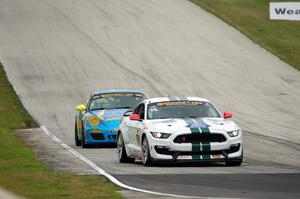Scott Maxwell / Billy Johnson Ford Shelby GT350R-C and Matt Plumb / Hugh Plumb Porsche 911