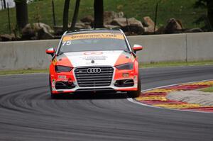 Paul Holton / Kyle Gimple Audi S3