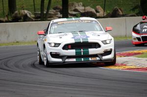 Scott Maxwell / Billy Johnson Ford Shelby GT350R-C