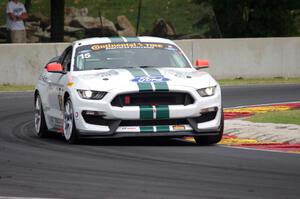 Scott Maxwell / Billy Johnson Ford Shelby GT350R-C