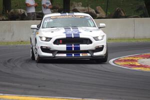 Jade Buford / Austin Cindric Ford Mustang Shelby GT350R-C