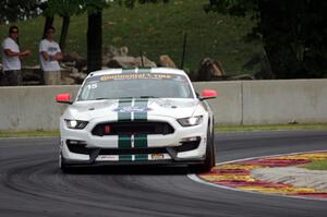 Scott Maxwell / Billy Johnson Ford Shelby GT350R-C