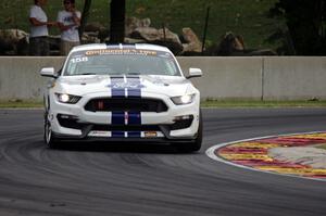 Jade Buford / Austin Cindric Ford Mustang Shelby GT350R-C