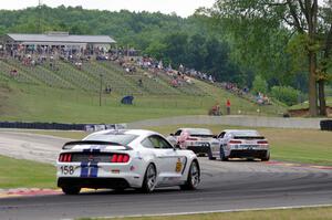 Andrew Davis / Robin Liddell and Lawson Aschenbach / Matt Bell Chevy Camaro Z/28.Rs with Jade Buford / Austin Cindric Ford Musta