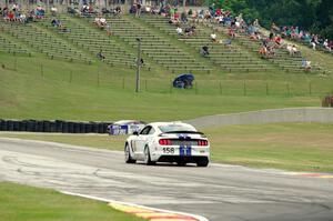 Jade Buford / Austin Cindric Ford Mustang Shelby GT350R-C