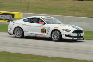 Scott Maxwell / Billy Johnson Ford Shelby GT350R-C