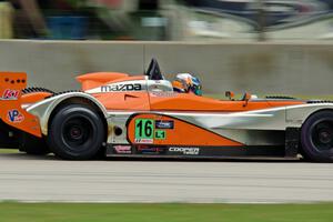 Austin Versteeg's Panoz Élan DP-02