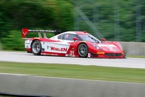 Eric Curran / Dane Cameron Chevy Corvette DP (Coyote)