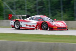 Eric Curran / Dane Cameron Chevy Corvette DP (Coyote)