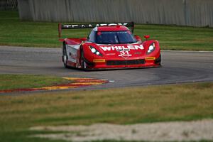 Eric Curran / Dane Cameron Chevy Corvette DP (Coyote)