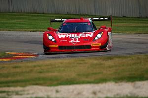 Eric Curran / Dane Cameron Chevy Corvette DP (Coyote)