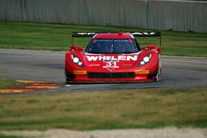 Eric Curran / Dane Cameron Chevy Corvette DP (Coyote)