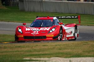 Eric Curran / Dane Cameron Chevy Corvette DP (Coyote)