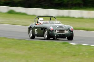 Dan Powell's Austin-Healey 3000