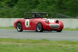 Tom Daly's Austin-Healey Sprite