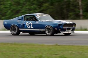 Laurance Page's Ford Mustang Shelby GT350