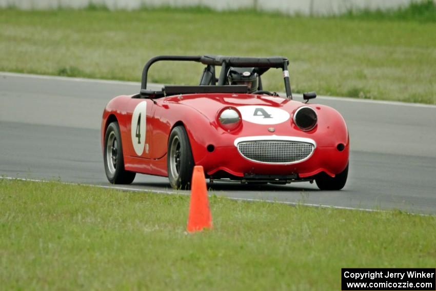 Tom Daly's Austin-Healey Sprite