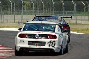 James Pesek's AIX Ford Mustang and Laddie Pesek, Jr.'s AIX Ford Mustang