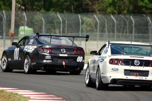 James Pesek's AIX Ford Mustang and Laddie Pesek, Jr.'s AIX Ford Mustang