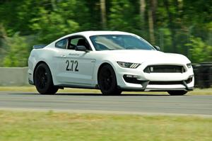 Michelle De La Isla's HPDE1 Ford Mustang