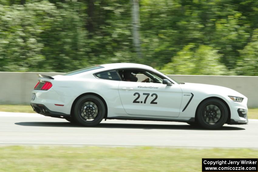 Michelle De La Isla's HPDE1 Ford Mustang