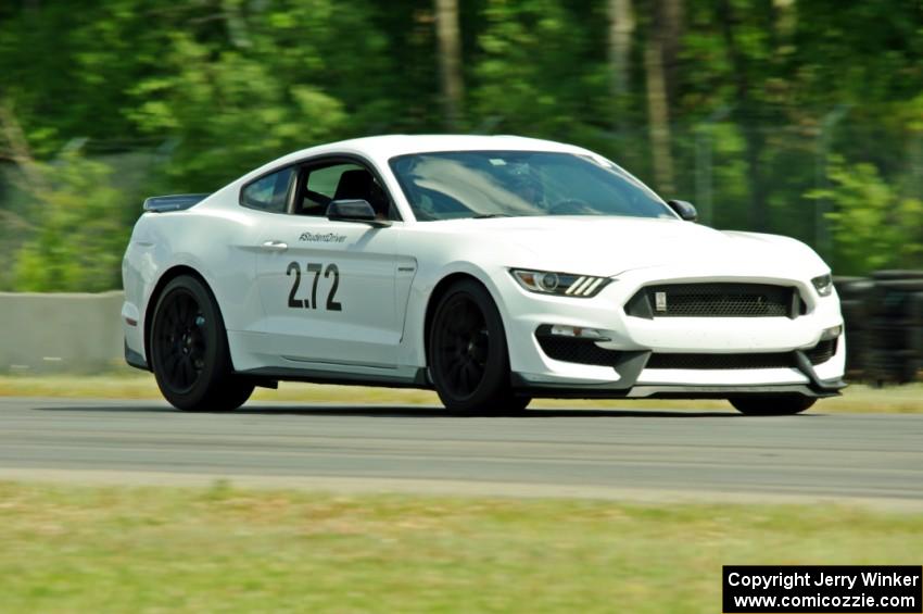 Michelle De La Isla's HPDE1 Ford Mustang