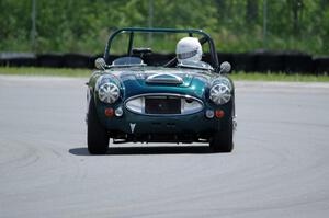 Eileen Wetzel's Austin-Healey 3000