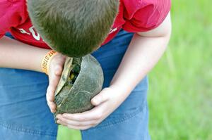 A young race fan picks up a Blanding's Turtle to check him out.