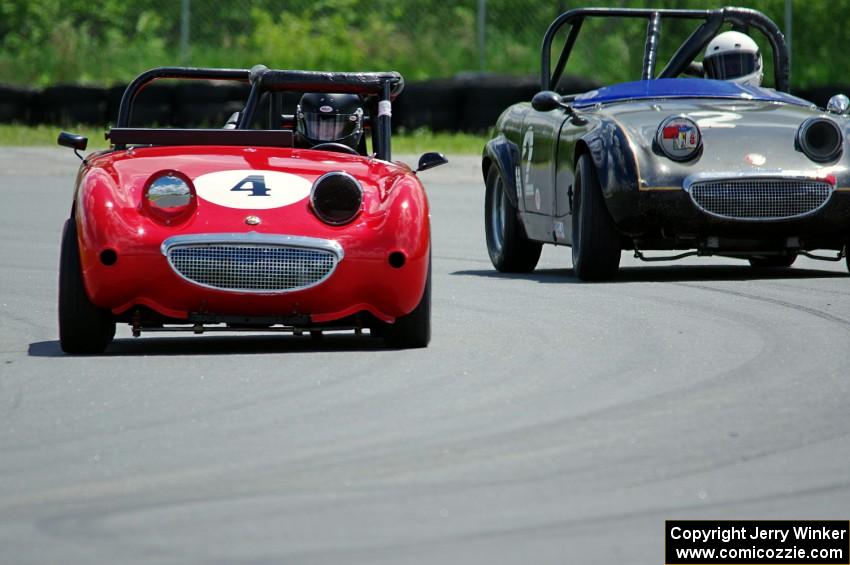 Tom Daly's and Phil Schaefer's Austin-Healey Sprites