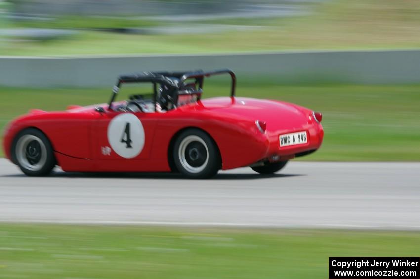 Tom Daly's Austin-Healey Sprite