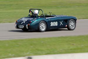 Eileen Wetzel's Austin-Healey 3000