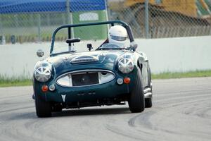 Eileen Wetzel's Austin-Healey 3000