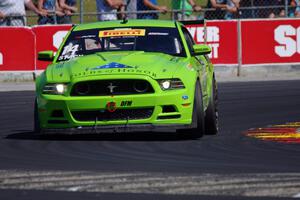 Nate Stacy's Ford Mustang Boss 302