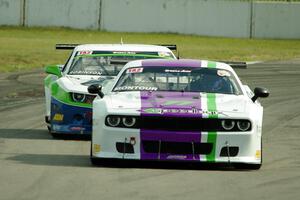 Louis­-Philippe Montour's Dodge Challenger and Gar Robinson's Chevy Camaro