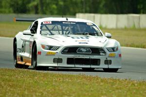 Tim Gray's Ford Mustang