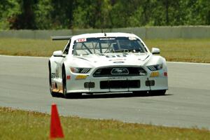 Tim Gray's Ford Mustang